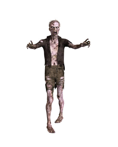 Zombie man walking with arms outstretched wearing tattered clothes. 3d illustration isolated on white background. stock photo