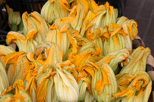 zucchini flowers stock photo