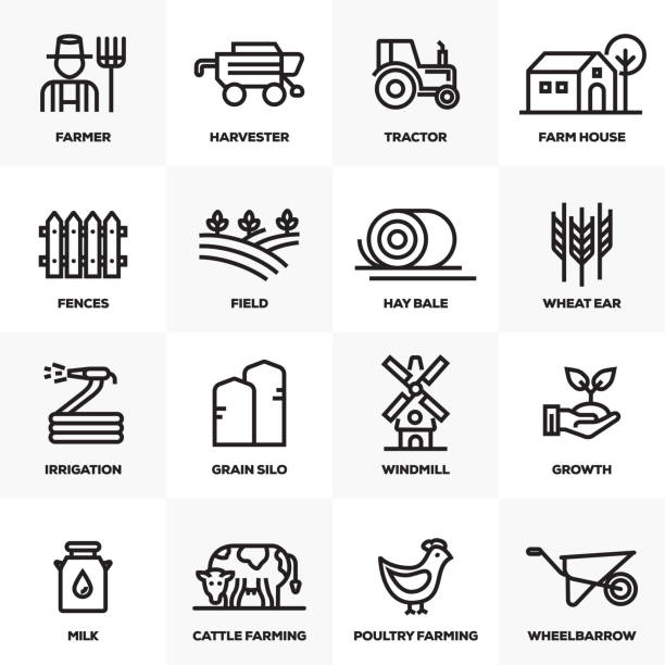 ilustrações, clipart, desenhos animados e ícones de fazenda e agricultura linha conjunto de ícones - plantação