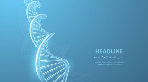 DNA. Abstract 3d polygonal wireframe DNA molecule helix spiral on blue. Medical science, genetic biotechnology, chemistry biology, gene cell concept vector illustration or background dna backgrounds stock illustrations