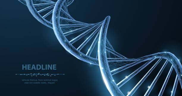 DNA. Abstract 3d polygonal wireframe DNA molecule helix spiral on blue. Medical science, genetic biotechnology, chemistry biology, gene cell concept vector illustration or background dna stock illustrations