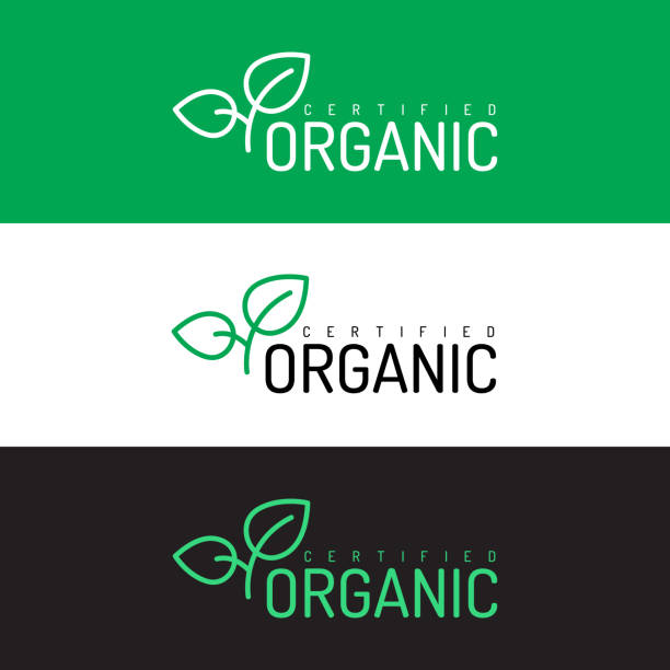 ilustrações de stock, clip art, desenhos animados e ícones de organic products banner - natural food web