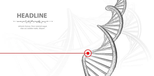 DNA. Abstract 3d polygonal wireframe dna molecule helix spiral on white background. Medical science, genetic biotechnology, chemistry biology, gene cell concept vector illustration or background dna drawings stock illustrations