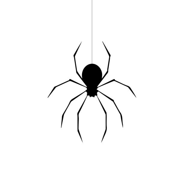 spiders brushes free photoshop brushes at brusheezy