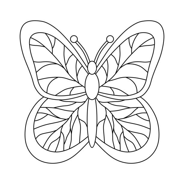 COLORING OF AN ISOLATED BUTTERFLY ON A WHITE BACKGROUND COLORING BOOK FOR CHILDREN IN A BUTTERFLY ON A WHITE BACKGROUND IN VECTOR butterfly coloring stock illustrations