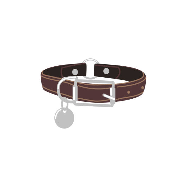 ÑÐ°Ð±Ð»Ð¾Ð½ Ð´Ð»Ñ ÑÐ¸Ð¼Ð¸Ð»ÑÑÐ¾Ð² Brown leather dog collar. Pet animal accessory with silver buckle round badge cartoon vector illustration isolated on white background collar stock illustrations