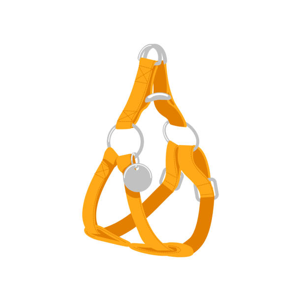 ÑÐ°Ð±Ð»Ð¾Ð½ Ð´Ð»Ñ ÑÐ¸Ð¼Ð¸Ð»ÑÑÐ¾Ð² Adjustable dog harness. Leather accessory for pet animals cartoon vector illustration isolated on white background animal harness stock illustrations