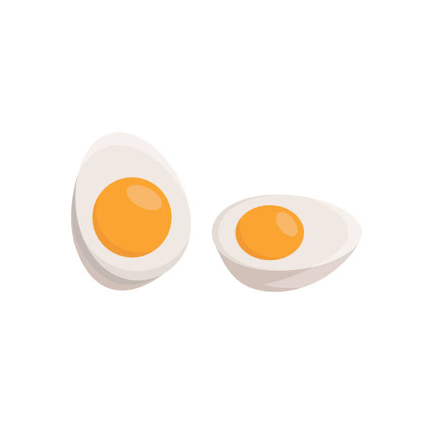 ÐÑÐ°ÑÐ¸ÐºÐ° Ð¸ Ð¸Ð»Ð»ÑÑÑÑÐ°ÑÐ¸Ð¸ Vector illustration of a boiled egg on a white background eps boiled egg stock illustrations