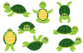 Collection of green turtle characters. Little turtles, walking and swimming turtle animals. Cartoon characters  baby turtles, cute wildlife animals in shell. Vector illustration