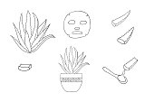 Set from the aloe vera plant, aloe vera in a pot, cut leaves, its juice, cosmetic mask. Isolated on white, vector illustration hand drawn.