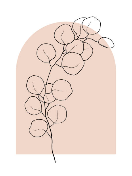 2021-259-vector-flower-05-leaves-eucalyptus-outline-black-background-window-pink-3500x4667px vector art illustration