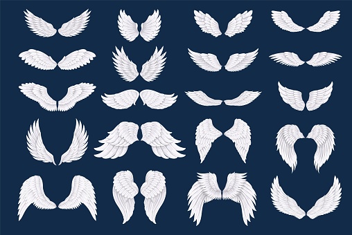 White bird or angel wings, vector illustration.