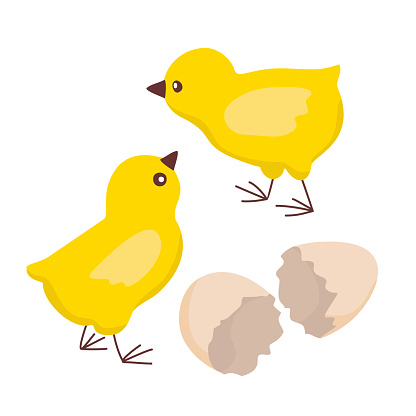 TWO CHICKENS