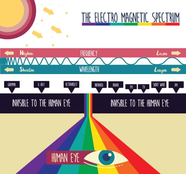 THE ELECTRO MAGNETIC SPECTRUM THE ELECTRO MAGNETIC SPECTRUM ILLUSTRATION VECTOR DESIGN electromagnetic stock illustrations