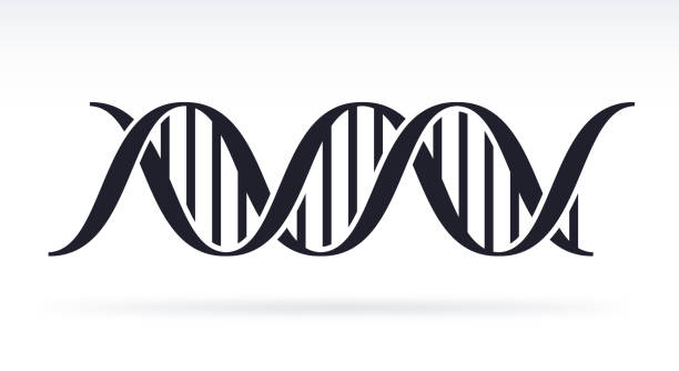 DNA DNA strand silhouette symbol. dna silhouettes stock illustrations