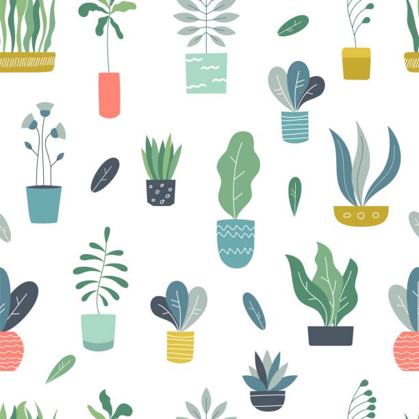 1902.m30.i020.n010.F.c06.1039539418 Houseplants seamless pattern. Abstract geometric indoor flowerpots with cute garden plants and succulents. Vector plants pattern Houseplants seamless pattern. Abstract geometric indoor flowerpots with cute garden plants and succulents. Vector plants pattern cactus patterns stock illustrations