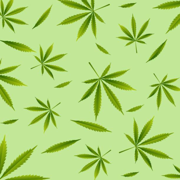 19-Cannabis leaf, master vector art illustration