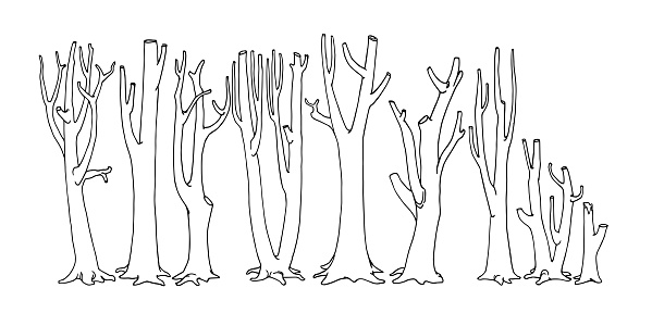 a set of bare tree trunks, dead forest, leafless branches, firewood harvesting, black ink lines