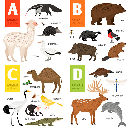 Abc different vector animals. Cute zoo alphabet.