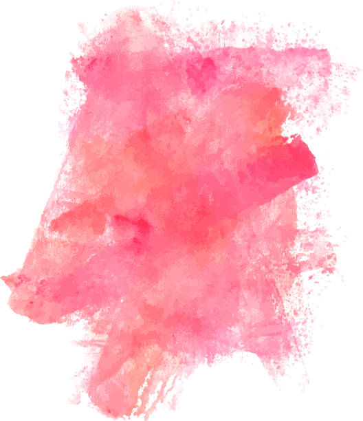 abstrakte künstlerische rosa aquarell flecken, vektor-design-vorlage - weiblichkeit stock-grafiken, -clipart, -cartoons und -symbole