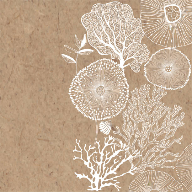 Abstract background on a marine theme with place for text on kraft paper. Vector. Perfect for greeting cards and invitations. Vector illustration on a marine theme on kraft paper. Abstract sea background with seaweed, shells, corals and place for text. algae stock illustrations