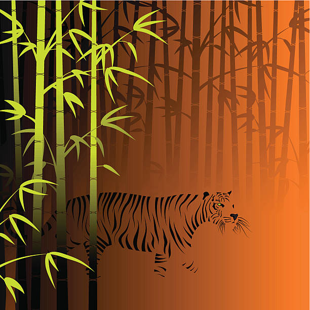 Abstract bamboo invisible tiger vector art illustration