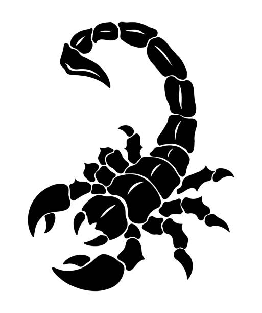 abstrakter schwarzer skorpion - skorpion stock-grafiken, -clipart, -cartoons und -symbole