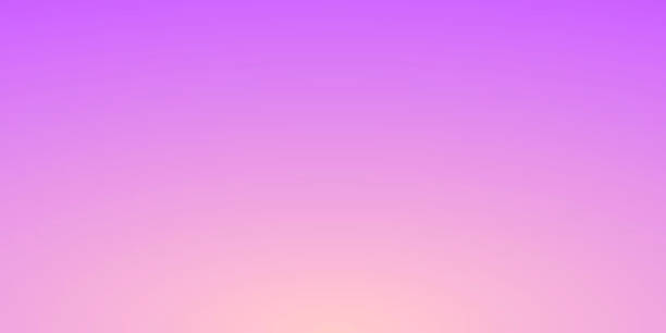 Abstract blurred background - defocused Pink gradient Modern and trendy abstract background with a defocused and blurred gradient, can be used for your design, with space for your text (colors used: Beige, Orange, Pink, Purple). Vector Illustration (EPS10, well layered and grouped), wide format (2:1). Easy to edit, manipulate, resize or colorize. purple background stock illustrations