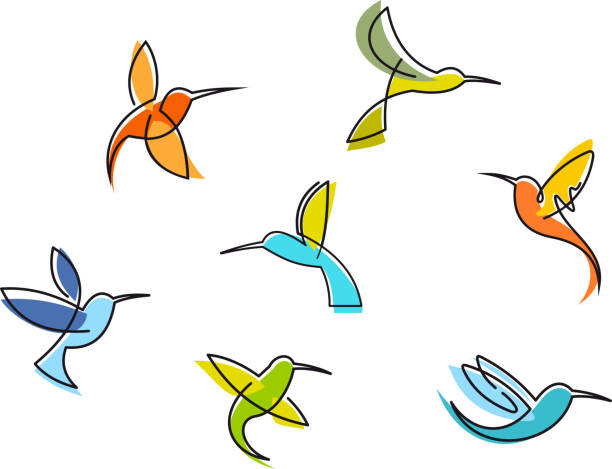Abstract colorful hummingbirds Abstract colorful hummingbirds set isolated on white background hummingbird stock illustrations