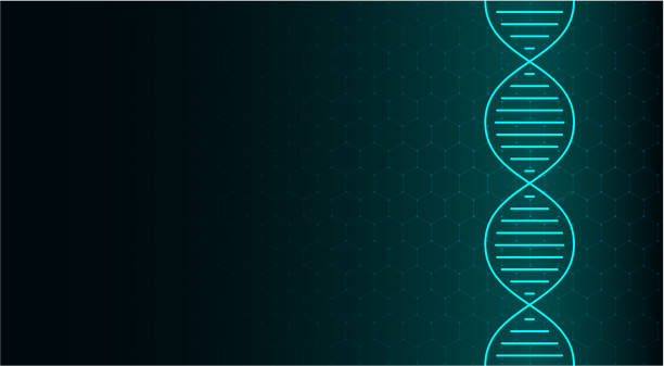 Abstract DNA molecule, neon helix on green background. Medical science, genetic, biotechnology, chemistry, biology. Abstract DNA molecule, neon helix on green background. Medical science, genetic, biotechnology, chemistry, biology. Vector illustration. dna backgrounds stock illustrations