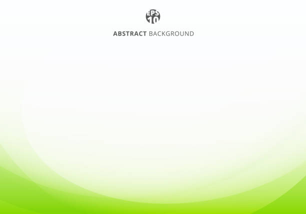 Abstract elegant green lime curve light template on white background with copy space. vector art illustration