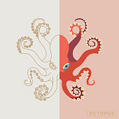 Thin line and abstract octopus concept. Multicolored fish design logo, label, sticker. Vector stock illustration