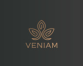 Abstract flower lotus icontype. Luxury crown linear icon. Gold premium spa hotel vector sign