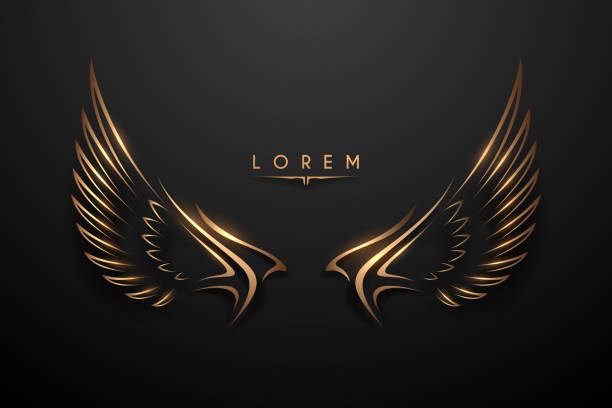 Abstract golden wings on black background vector art illustration