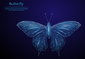 Abstract image Butterfly in the form of a starry sky or space, consisting of points, lines, and shapes in the form of planets, stars and the universe. Low poly vector background.