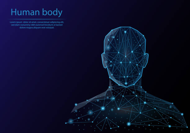 Abstract image human body in the form of a starry sky or space, consisting of points, lines, and shapes in the form of planets, stars and the universe. Low poly vector background.  the human body stock illustrations
