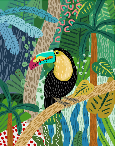 Abstract jungle background! Vector illustrations of parrot toucan, palm, leaves, trees, spots, objects and textures. Hand-drawn art for poster or card