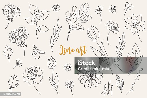 istock Abstract line art floral collection - tulip, rose, gerbera 1224406474