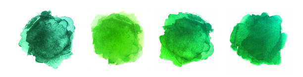 abstrakte gemalte formen isoliert auf weißem hintergrund. grüne aquarell vektor textur set - brushed eco vector stock-grafiken, -clipart, -cartoons und -symbole