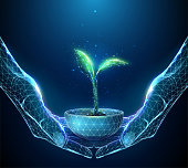 istock Abstract pair of hands holding young green plant in pot 1344046084