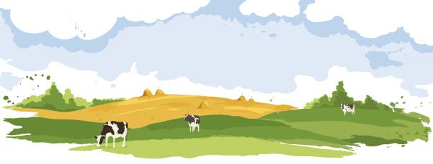 Abstract rural landscape with cows. Watercolor illustration, wheat fields and meadows corn field stock illustrations