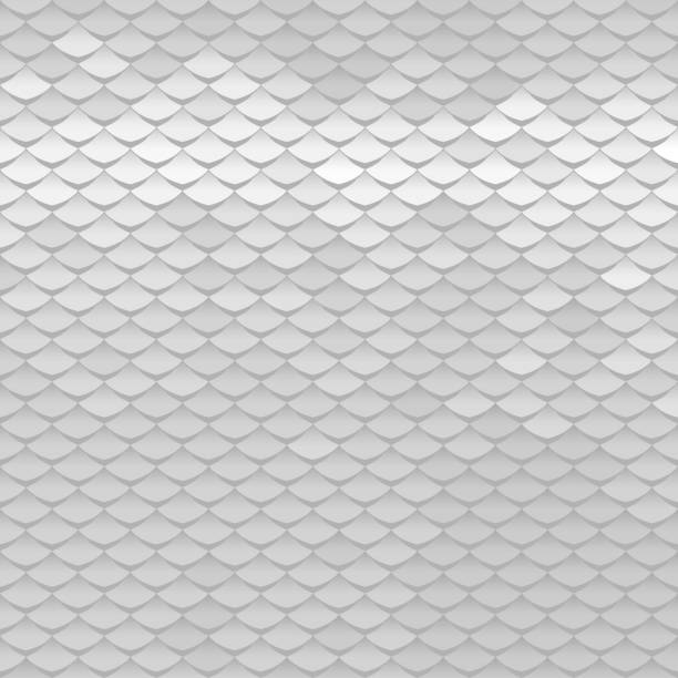 Abstract scale pattern. Roof tiles background. Silver squama texture Abstract scale pattern. Roof tiles background. Silver squama texture animal scale stock illustrations