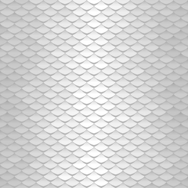 Abstract scale pattern. Roof tiles background. Silver squama texture Abstract scale pattern. Roof tiles background. Silver squama texture animal scale stock illustrations