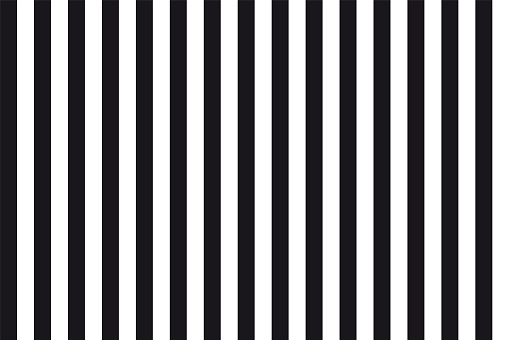 Abstract Seamless Background Of Black  And White  Parallel 