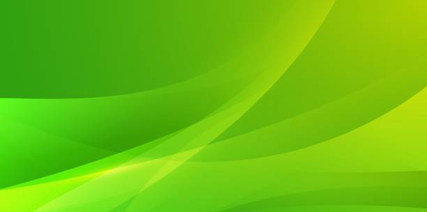 soyut basit modern waving arka plan - yeşil renk stock illustrations