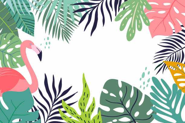 Abstract tropical banner Abstract tropical banner with decorative leaves and flamingo tropical pattern stock illustrations