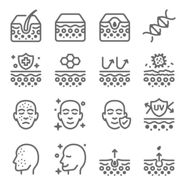 illustrations, cliparts, dessins animés et icônes de acné peau icône ensemble. contient des icônes telles que la couche de peau, surface, teint, uv, adn et plus encore. course élargie - skin