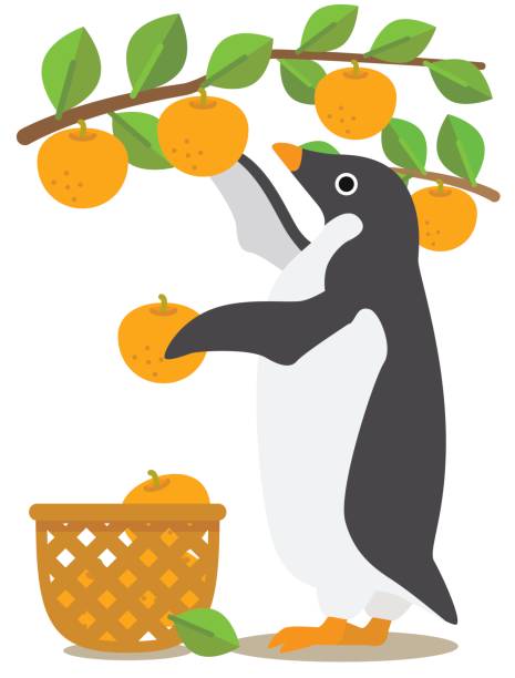Adelie Penguin/pear picking various situation of the Adelie penguin adelie penguin stock illustrations