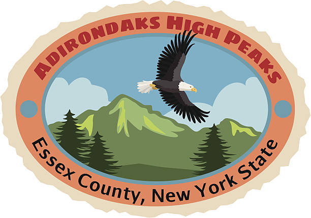 adirondack mountains luggage label or travel sticker - 州立公園 幅插畫檔、美工圖案、卡通及圖標