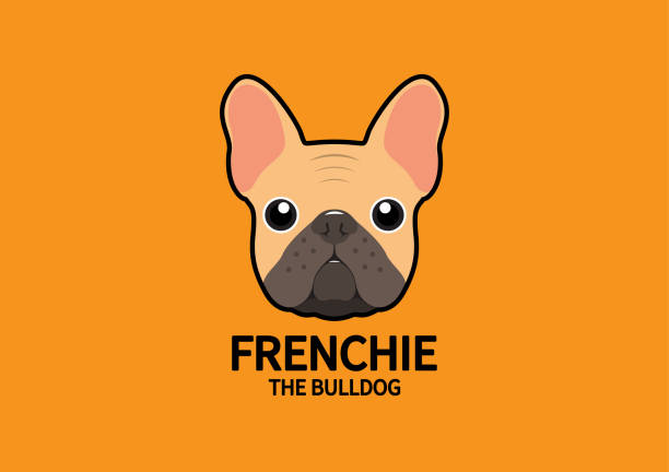 Adorable Frenchie The Bulldog vector art illustration